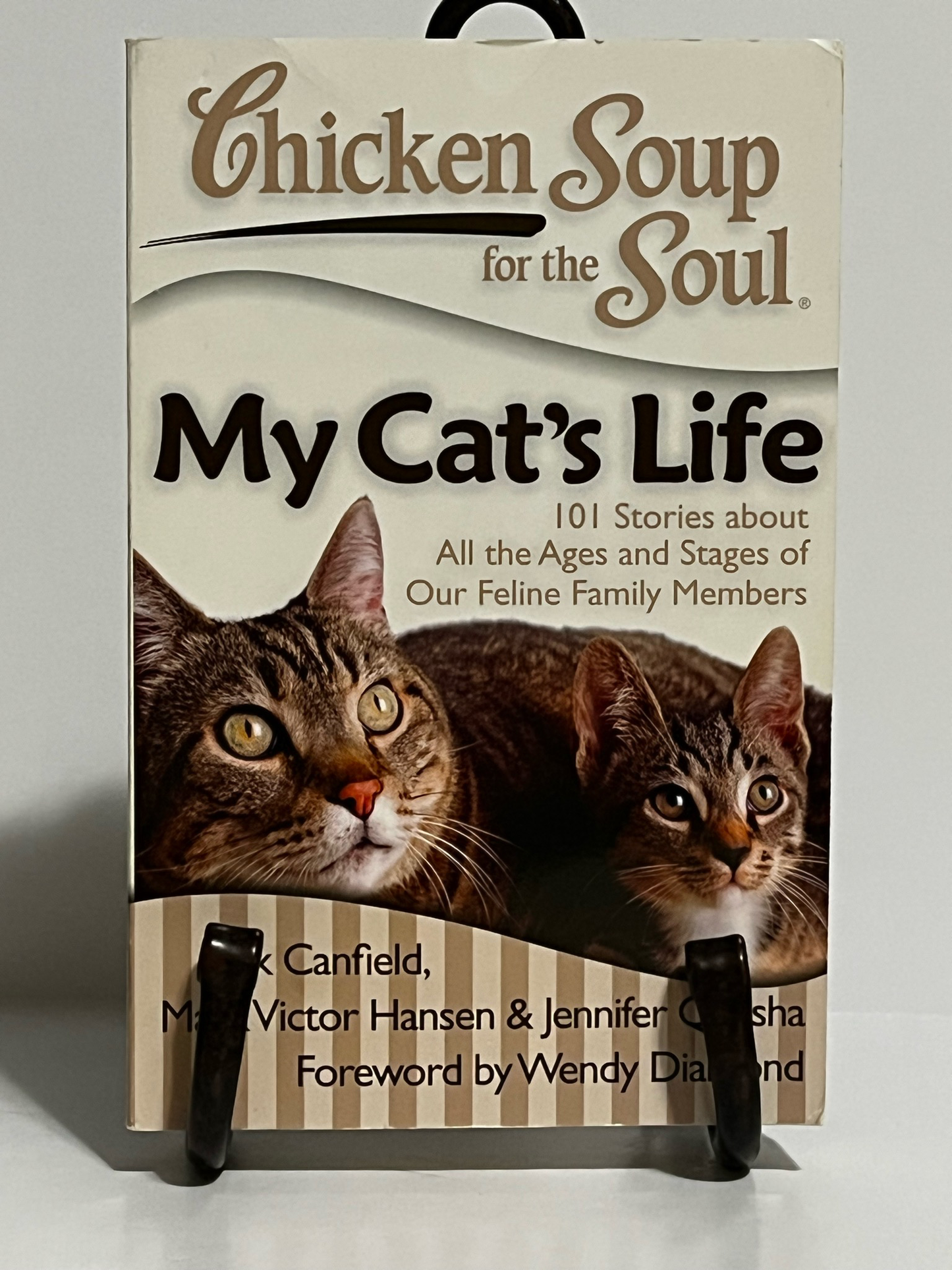 Chicken Soup For The Soul: My Cat's Life